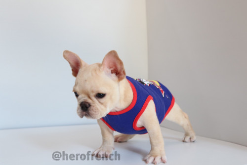 เมีย 191228 0006