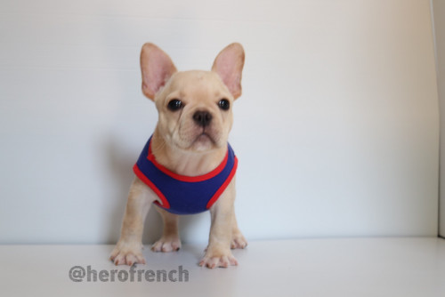 เมีย 191228 0008