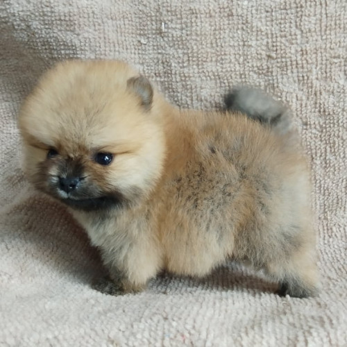 80990044 691292061398495 1874483152865460224 n