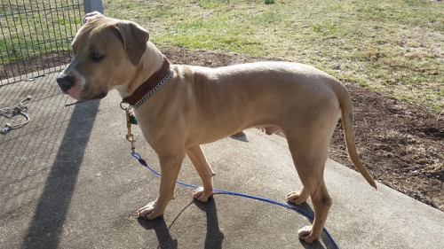 16953165849 d3dcf419de z