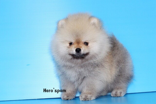 เมีย14125 191214 0002