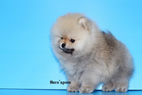 เมีย14125 191214 0004