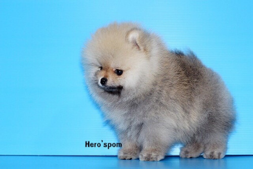 เมีย14125 191214 0005