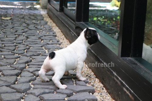 Male ???????? ๒๐๐๑๐๔ 0002