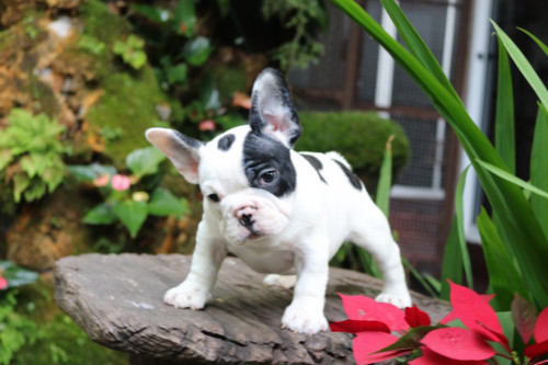 ผู้?? 191231 0012