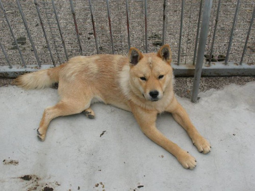 1265163373 6c13a7197a z