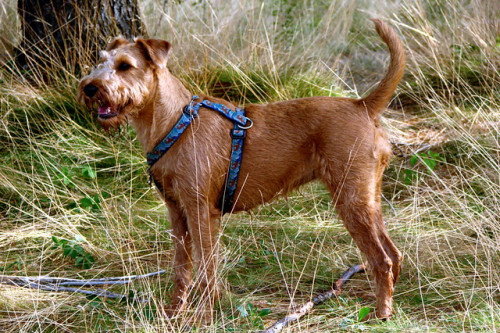 682646729 3cf36e5400 z