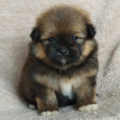 81386701 491964384791365 3233976272124116992 n