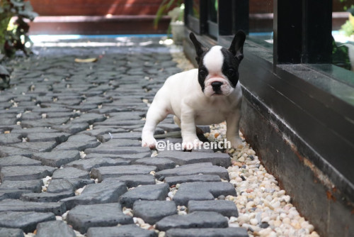 Male ???????? ๒๐๐๑๐๔ 0004