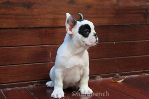 ผู้?‍♂️?‍??‍??‍? ๒๐๐๑๐๕ 0002