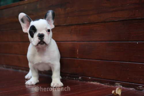 ผู้?‍♂️?‍??‍??‍? ๒๐๐๑๐๕ 0013