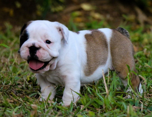 81969421 3560563583961434 858829000607268864 n