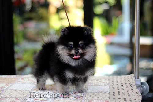 เมียbt 200111 0005