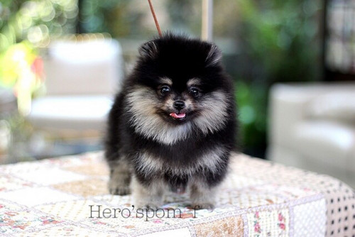 เมียbt 200111 0007