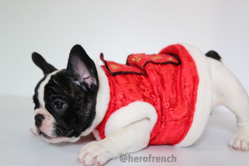 เมียยยยยยยยยยย ๒๐๐๑๑๔ 0002