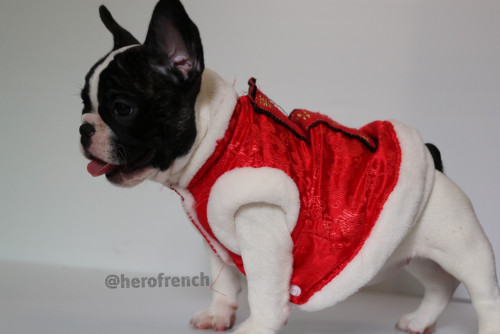 เมียยยยยยยยยยย ๒๐๐๑๑๔ 0008