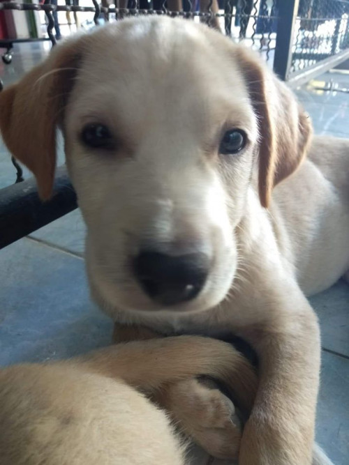 83581741 203572217474741 7019486457416908800 o