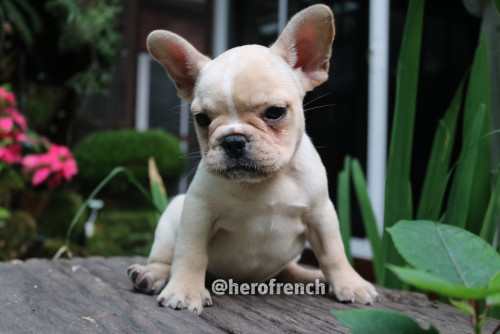 เมีย 1 ๒๐๐๑๒๑ 0004