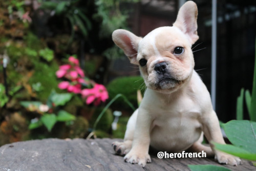 เมีย 1 ๒๐๐๑๒๑ 0011