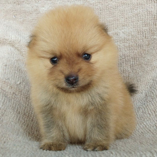 82815804 699837980547290 1846460832016236544 n