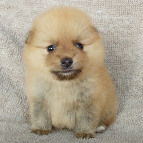 83158004 483517139228343 247008727448682496 n