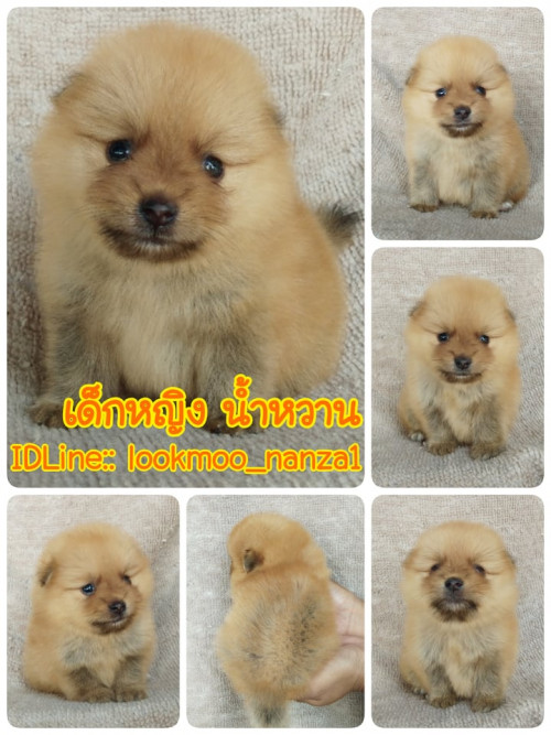 83747694 490569195197372 1268331746911322112 n