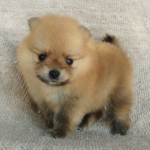 83999658 473659316660432 182079430502383616 n