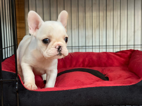 M ๒๐๐๑๒๖ 0001