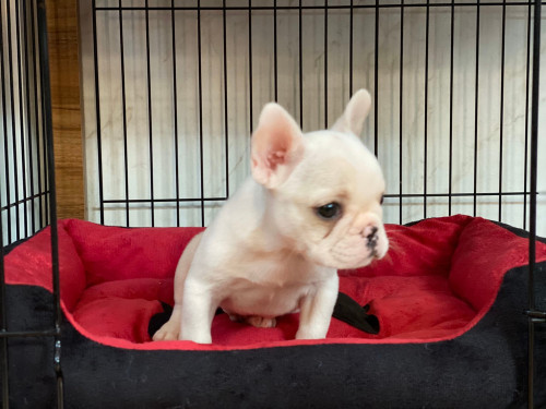 M ๒๐๐๑๒๖ 0003