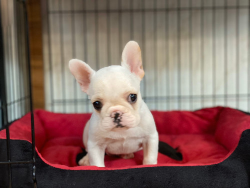 M ๒๐๐๑๒๖ 0007