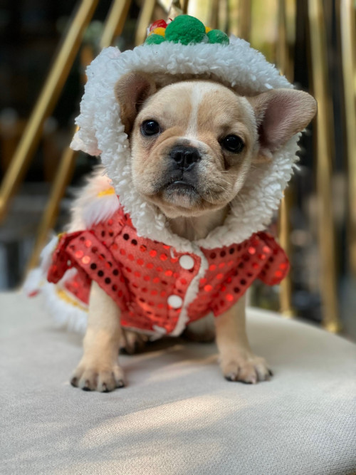 F ๒๐๐๑๒๕ 0001