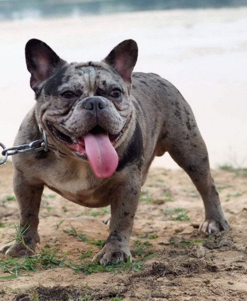 IMG 20200204 103531 (1)