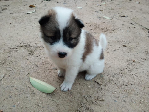 0F3BF4FF BEE1 412B 9B96 A8E221F4F417