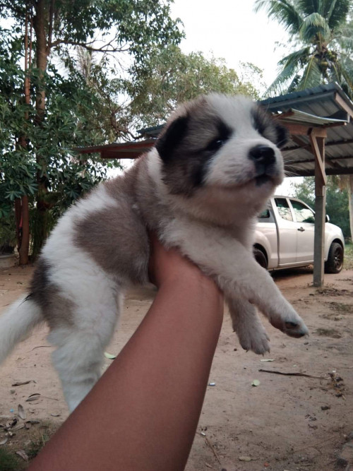 16E62BCF 4E41 46A7 8B67 E09F974C46FA