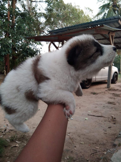 2D8203CD 47D7 47BD B95E 1FFF647EC4C1