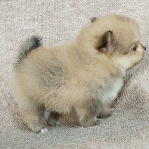 83898412 195333961649910 4825929222058934272 n