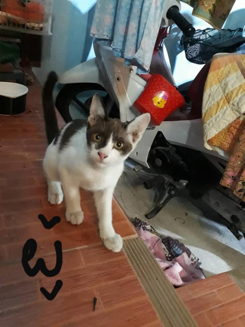 83706682 2670490933028882 528196615660371968 n