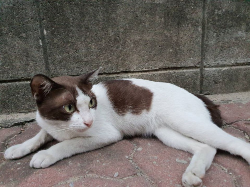 83847136 3155649567796493 6146445830933970944 o