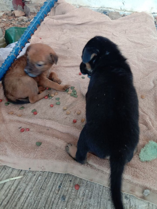 84189346 485937525673424 5815353304665817088 o