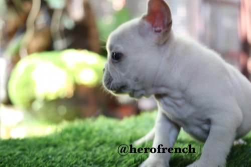 M4 ๒๐๐๒๑๐ 0001