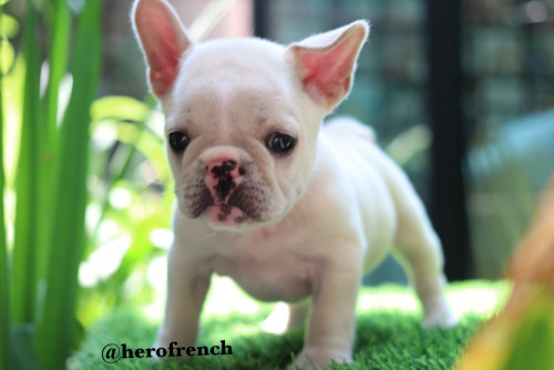 M4 ๒๐๐๒๑๐ 0002