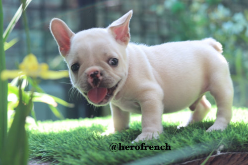 M4 ๒๐๐๒๑๐ 0006