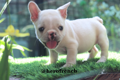 M4 ๒๐๐๒๑๐ 0007