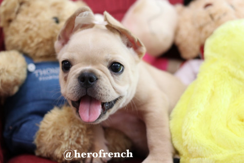 F2 ๒๐๐๒๑๐ 0007