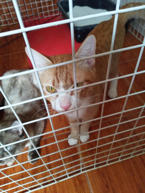 85247241 812361252615229 2297638870059057152 n