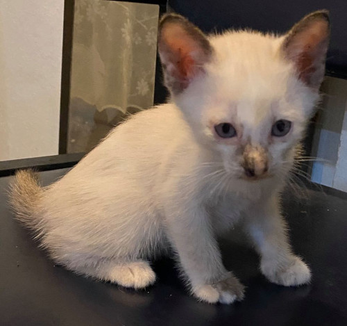 86718301 3105043219508515 587117266244468736 o