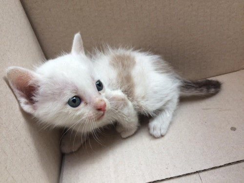 87273813 1100824136947030 4296997514155917312 n