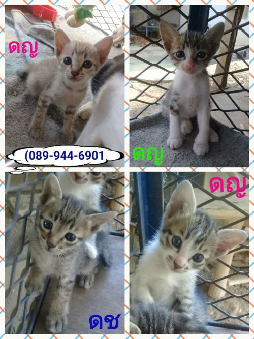 87952277 2700606240058440 8810457291221368832 o