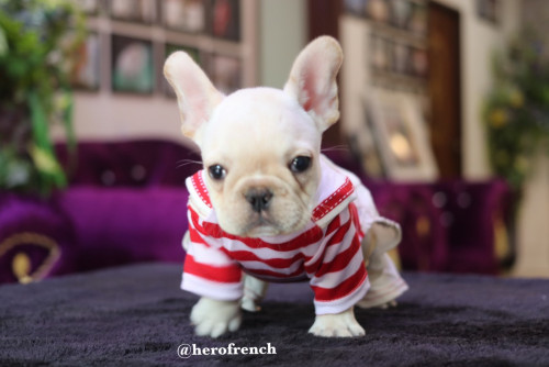 F025MCR ๒๐๐๒๒๑ 0002