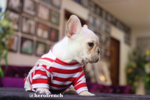 F025MCR ๒๐๐๒๒๑ 0003